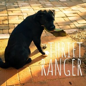 Meet your Posher, Lin